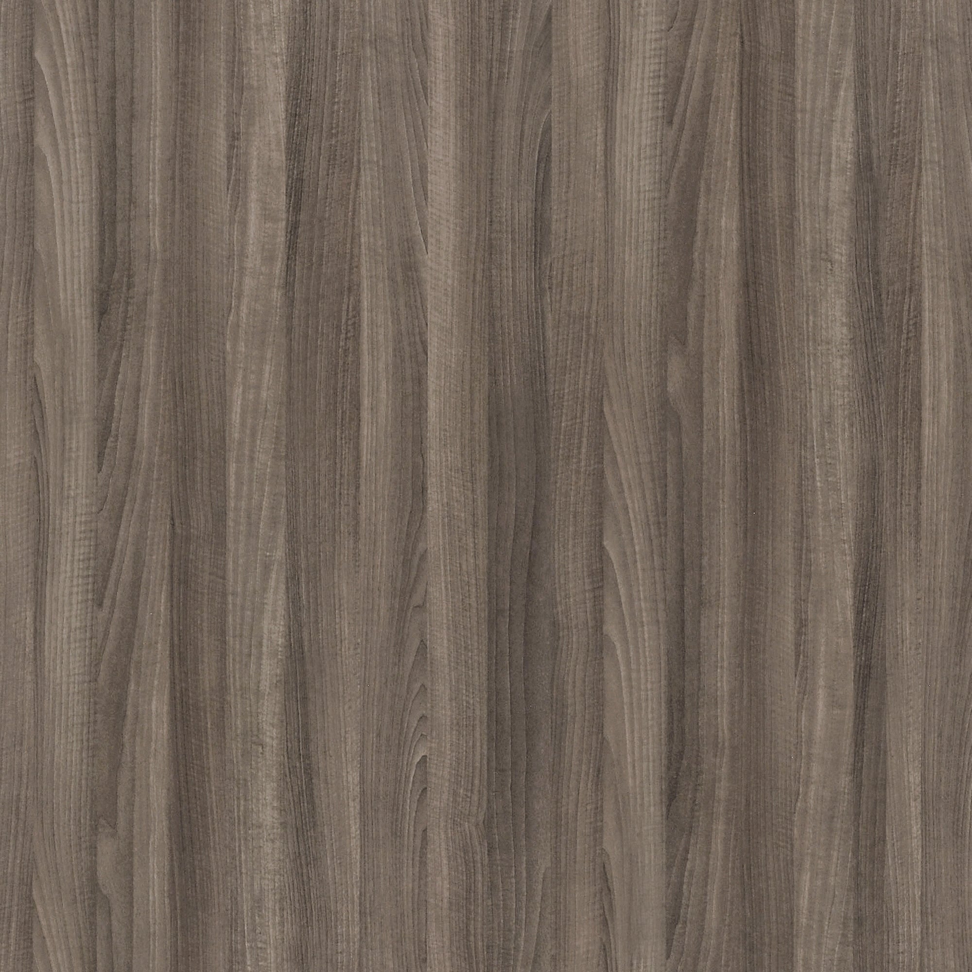 ginger ash 6390023a 164f 46f8 82c6 64740ba70c1a hsjb63o6ubj2aljs ginger ash 6390023a 164f 46f8 82c6 64740ba70c1a hsjb63o6ubj2aljs